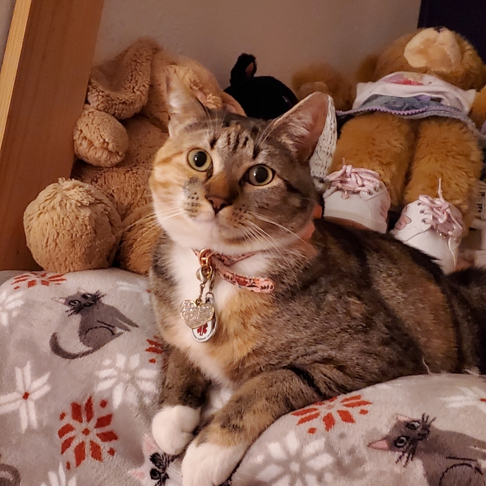 Meet your Posher, Beverly